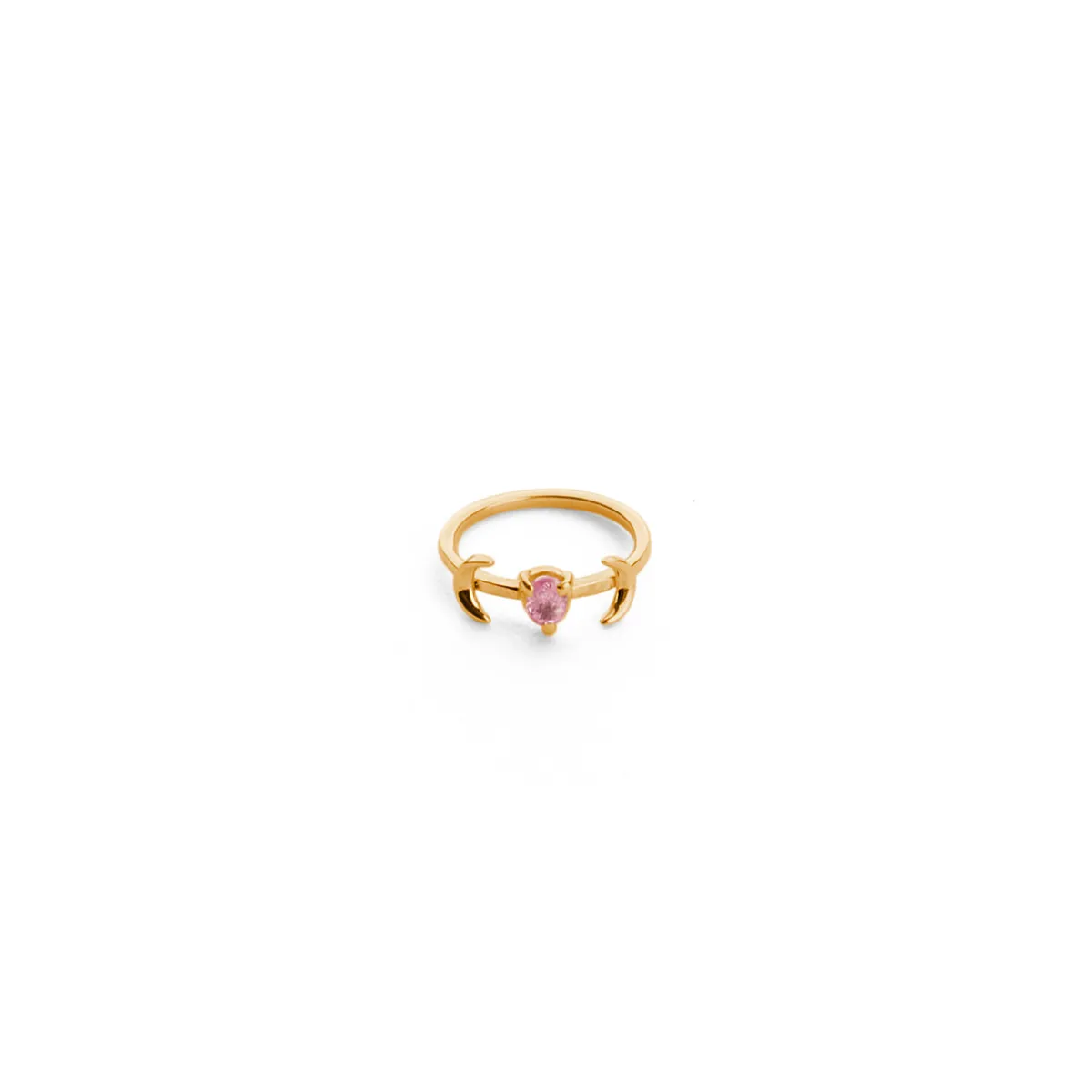 Store Jewel Rocks Carbon Gold Ring